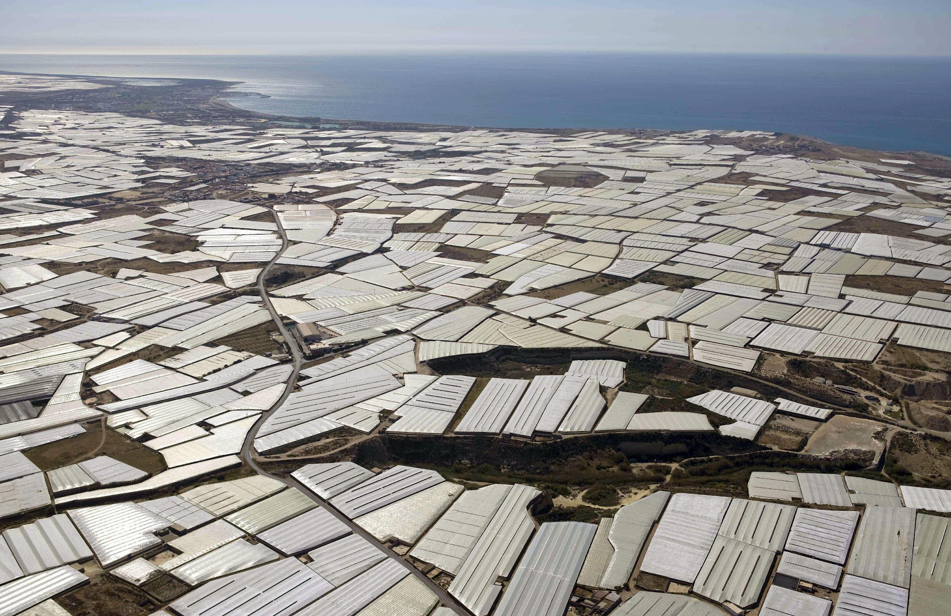 Greenhouse Business and Cryptocurrency Mining - How to Become a Successful Farmer-Miner